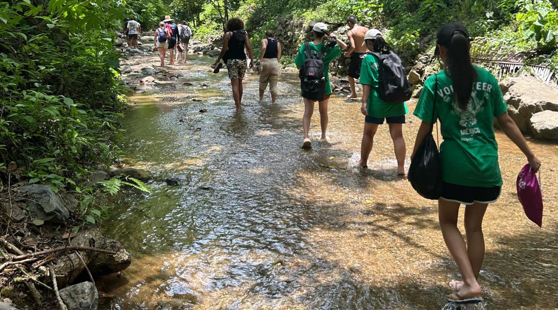 Group of conservation volunteers walking through lush forest during interpretative walks